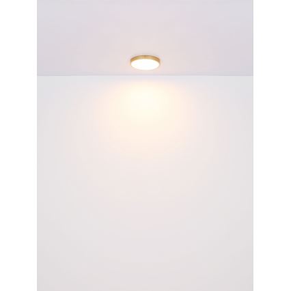 Globo - LED Stropní svítidlo LED/30W/230V pr. 45 cm