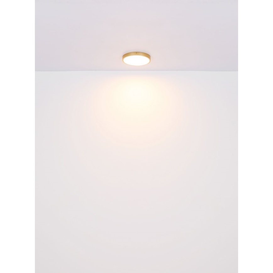 Globo - LED Stropní svítidlo LED/30W/230V pr. 45 cm