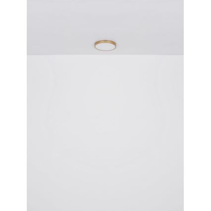 Globo - LED Stropní svítidlo LED/30W/230V pr. 45 cm