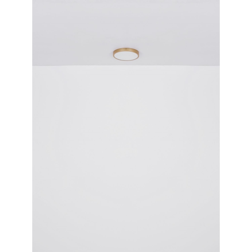 Globo - LED Stropní svítidlo LED/30W/230V pr. 45 cm