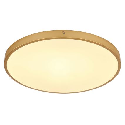 Globo - LED Stropní svítidlo LED/30W/230V pr. 45 cm