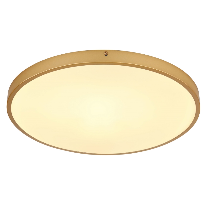 Globo - LED Stropní svítidlo LED/30W/230V pr. 45 cm