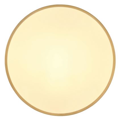 Globo - LED Stropní svítidlo LED/30W/230V pr. 45 cm