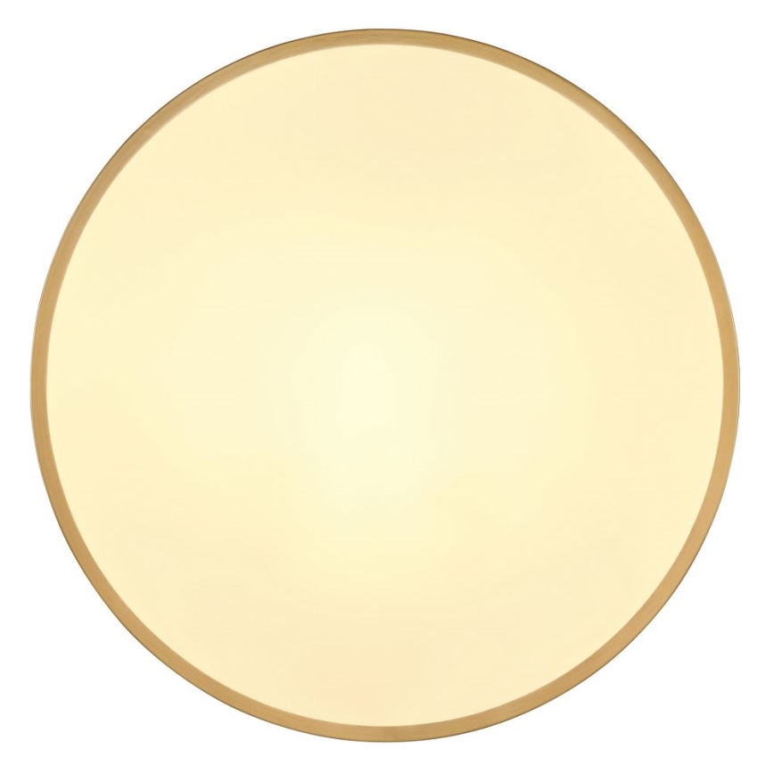 Globo - LED Stropní svítidlo LED/30W/230V pr. 45 cm