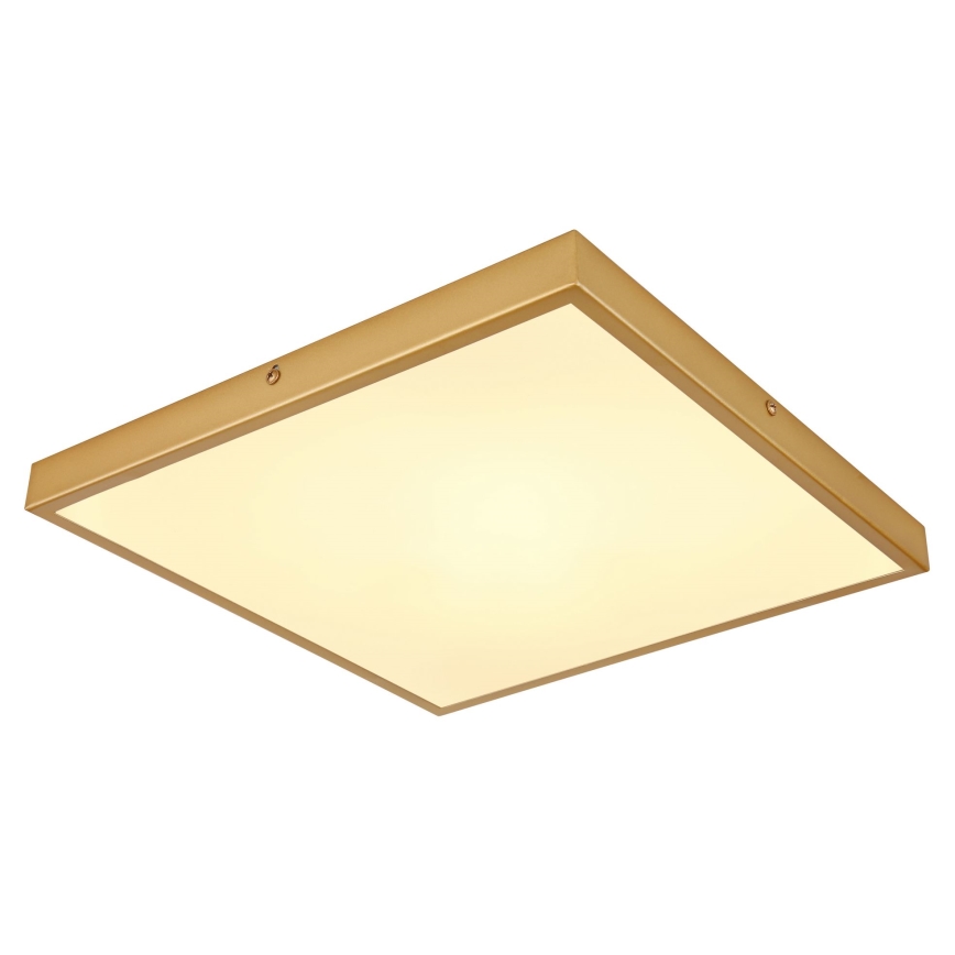 Globo - LED Stropní svítidlo LED/22W/230V 35x35 cm