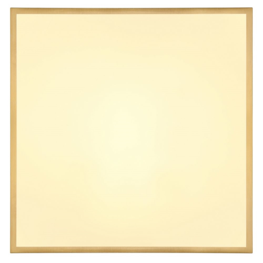 Globo - LED Stropní svítidlo LED/30W/230V 45x45 cm