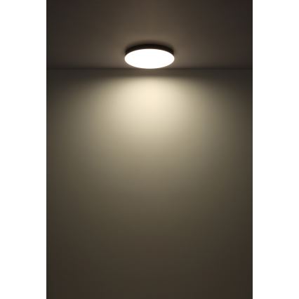 Globo - LED Stropní svítidlo LED/24W/230V 3000K/4000K/6500K pr. 30 cm černá