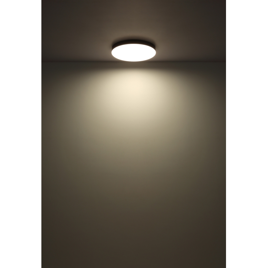 Globo - LED Stropní svítidlo LED/24W/230V 3000K/4000K/6500K pr. 30 cm černá