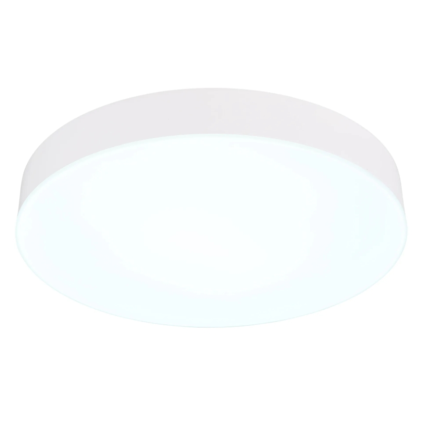 Globo - LED Stropní svítidlo LED/24W/230V 3000K/4000K/6500K pr. 30 cm bílá