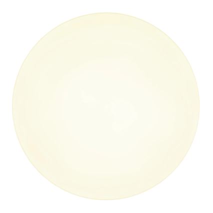 Globo - LED Stropní svítidlo LED/24W/230V 3000K/4000K/6500K pr. 30 cm bílá