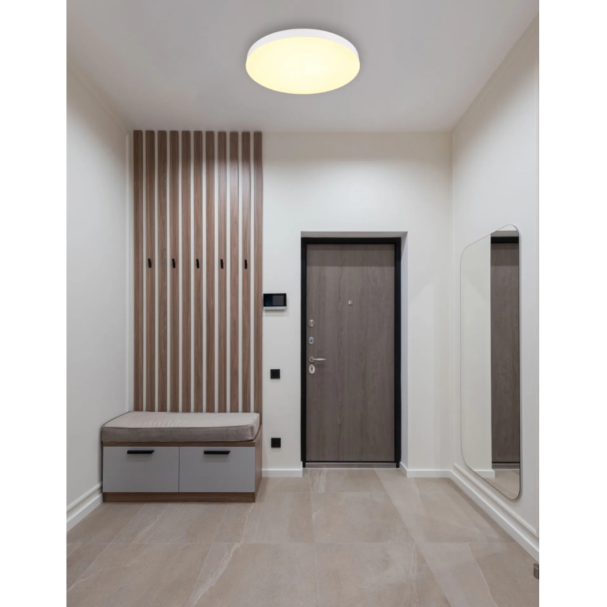 Globo - LED Stropní svítidlo LED/50W/230V 3000K/4000K/6500K pr. 50 cm bílá