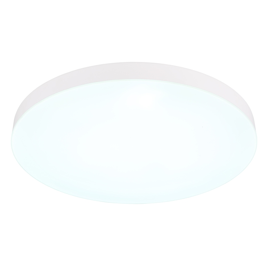 Globo - LED Stropní svítidlo LED/50W/230V 3000K/4000K/6500K pr. 50 cm bílá