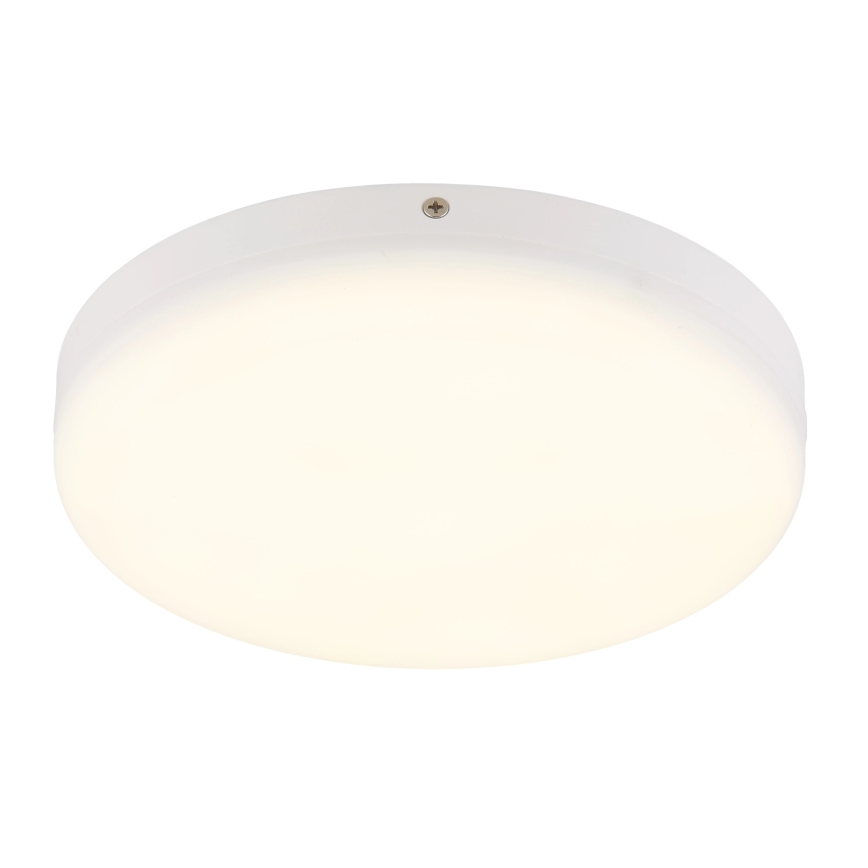 Globo - LED Stropní svítidlo LED/12W/230V 4000K pr. 22 cm bílá