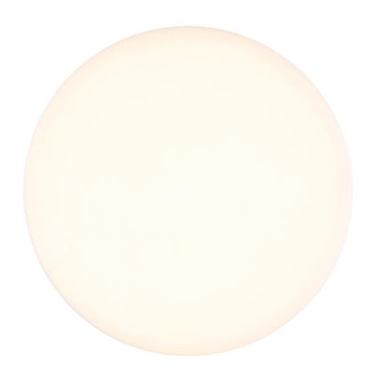 Globo - LED Stropní svítidlo LED/12W/230V 4000K pr. 22 cm bílá