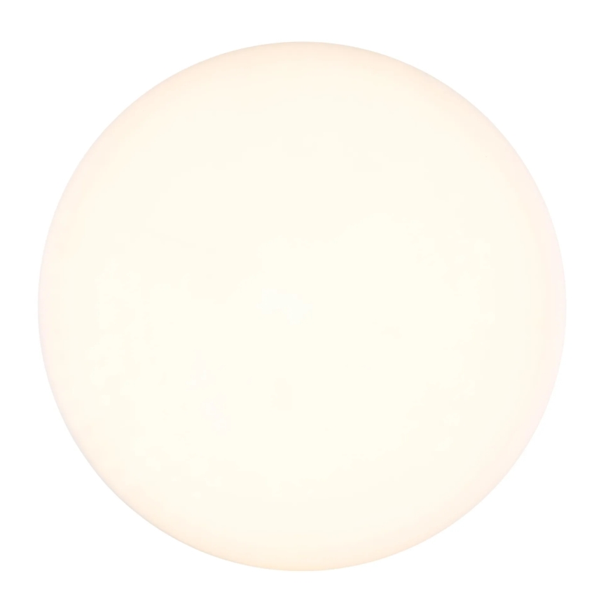 Globo - LED Stropní svítidlo LED/12W/230V 4000K pr. 22 cm bílá