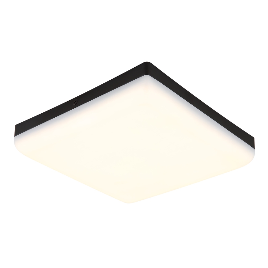 Globo - LED Stropní svítidlo LED/12W/230V 4000K 22x22 cm černá