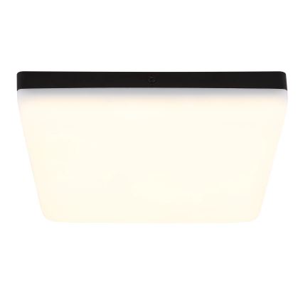 Globo - LED Stropní svítidlo LED/12W/230V 4000K 22x22 cm černá