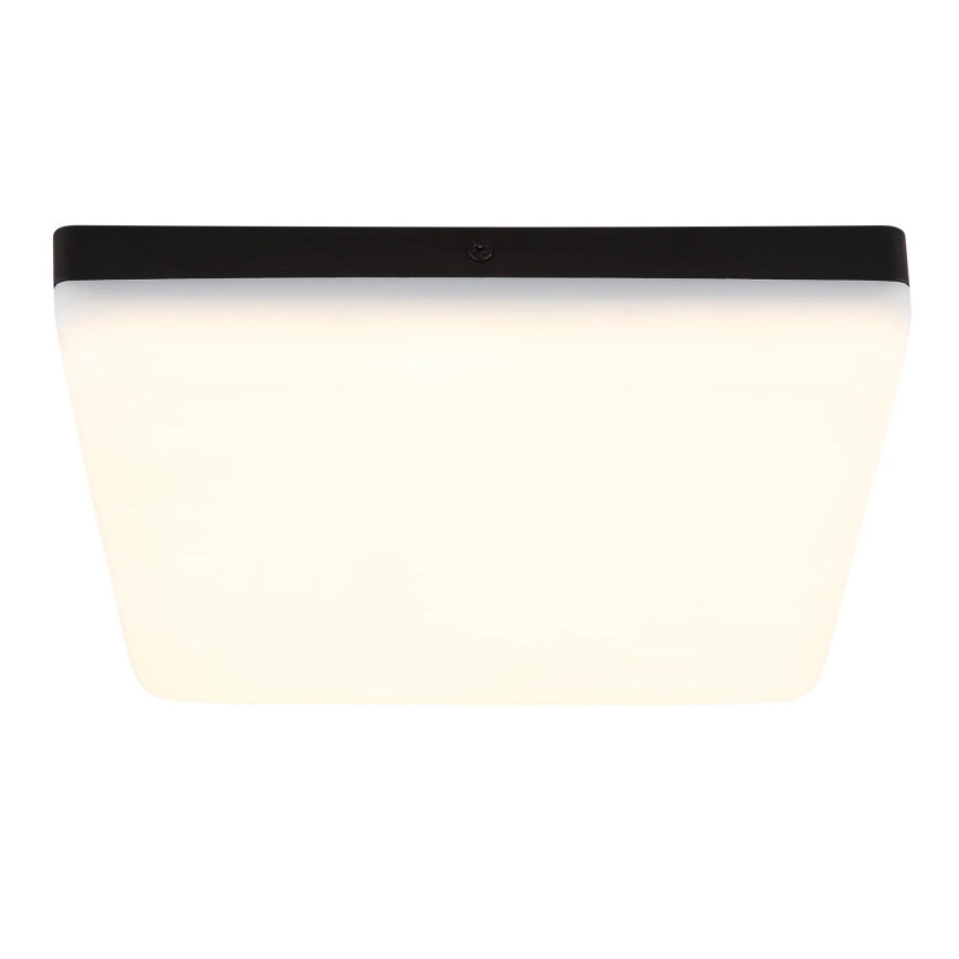 Globo - LED Stropní svítidlo LED/12W/230V 4000K 22x22 cm černá