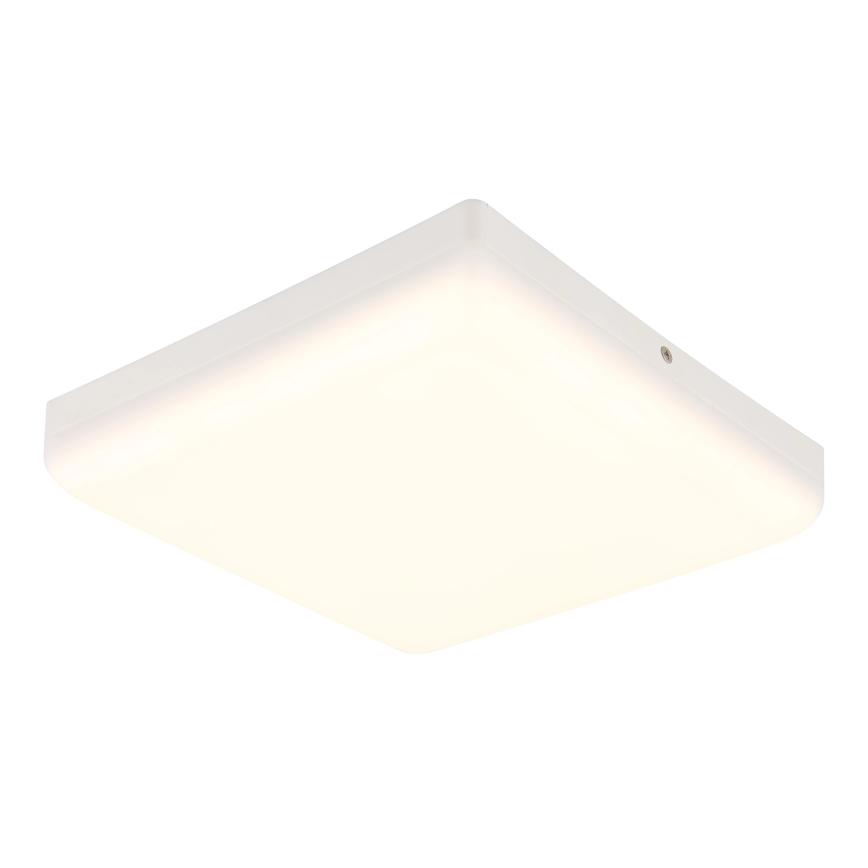 Globo - LED Stropní svítidlo LED/12W/230V 4000K 22x22 cm bílá
