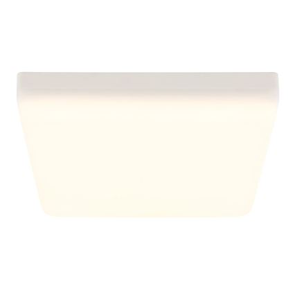 Globo - LED Stropní svítidlo LED/12W/230V 4000K 22x22 cm bílá