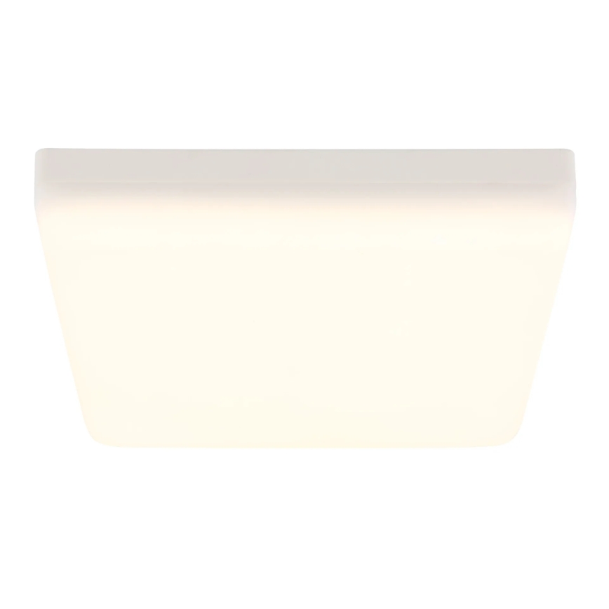 Globo - LED Stropní svítidlo LED/12W/230V 4000K 22x22 cm bílá