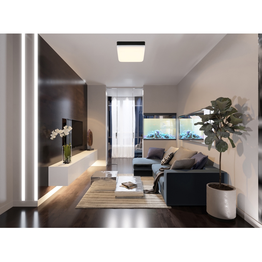 Globo - LED Stropní svítidlo LED/8W/230V 4000K 12x12 cm černá