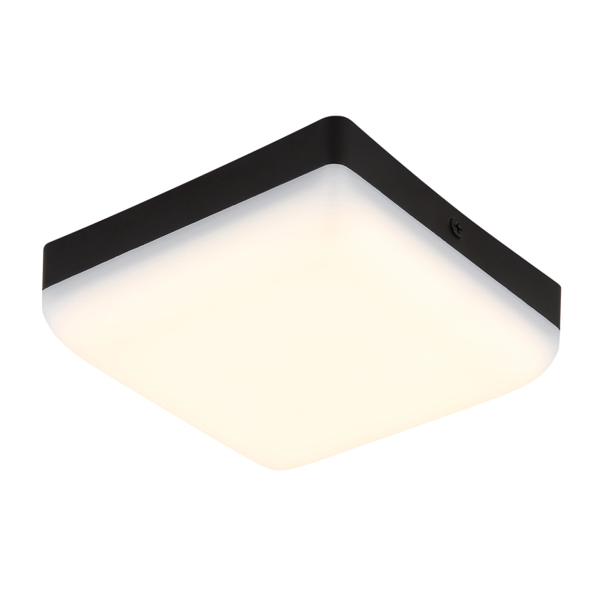 Globo - LED Stropní svítidlo LED/8W/230V 4000K 12x12 cm černá