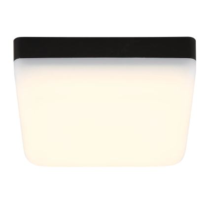 Globo - LED Stropní svítidlo LED/8W/230V 4000K 12x12 cm černá