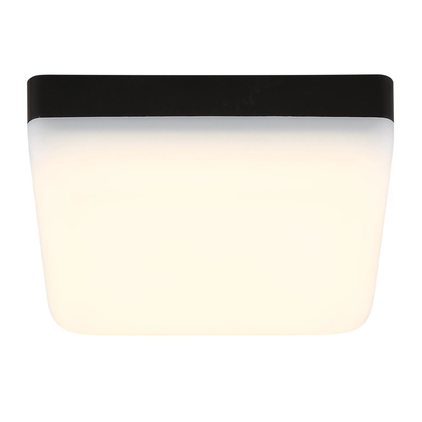 Globo - LED Stropní svítidlo LED/8W/230V 4000K 12x12 cm černá
