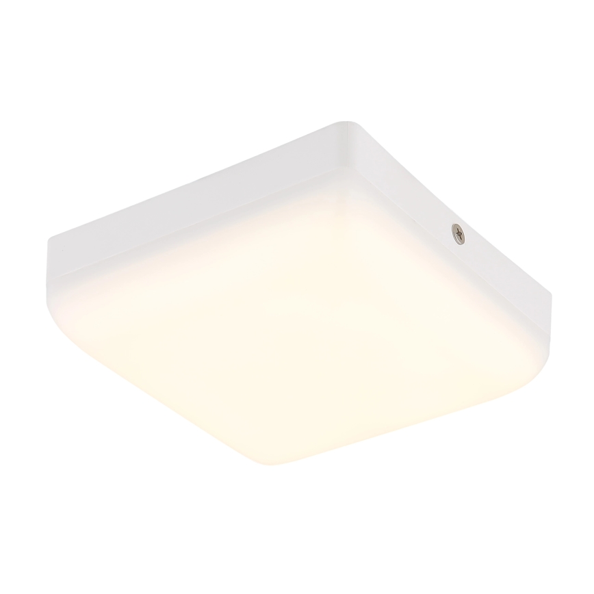 Globo - LED Stropní svítidlo LED/8W/230V 4000K 12x12 cm bílá