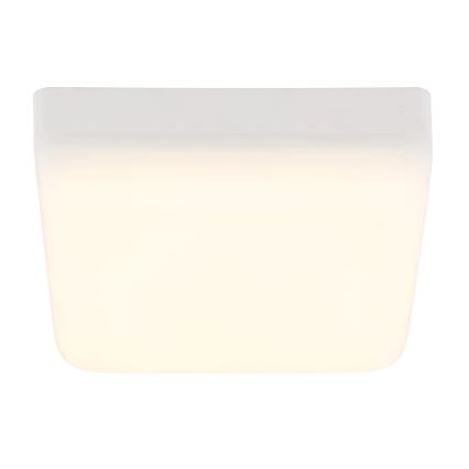 Globo - LED Stropní svítidlo LED/8W/230V 4000K 12x12 cm bílá