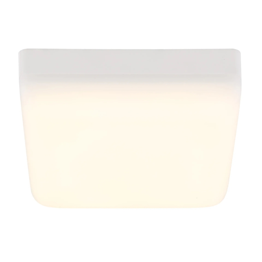 Globo - LED Stropní svítidlo LED/8W/230V 4000K 12x12 cm bílá