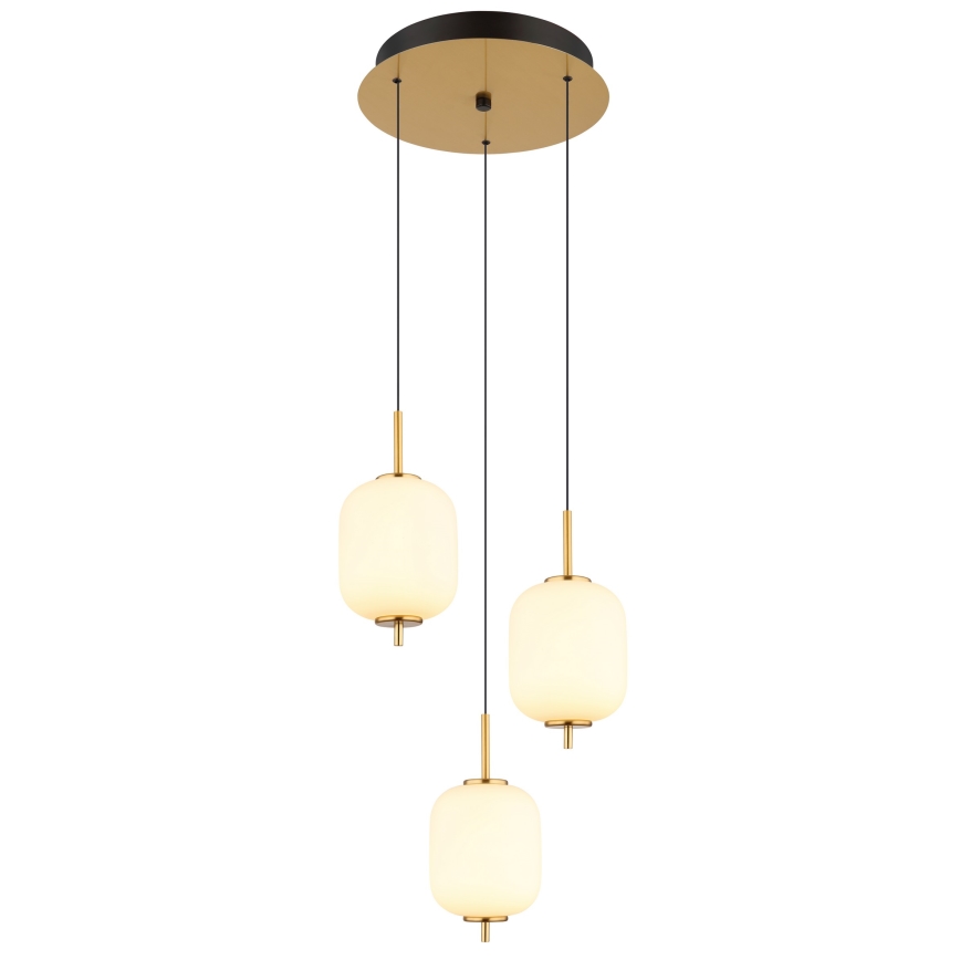 Globo - LED Lustr na lanku LED/20W/230V
