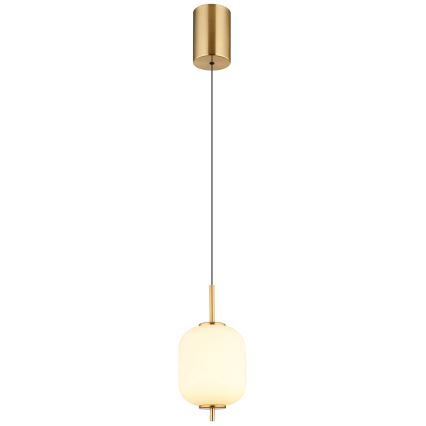Globo - LED Lustr na lanku LED/7W/230V