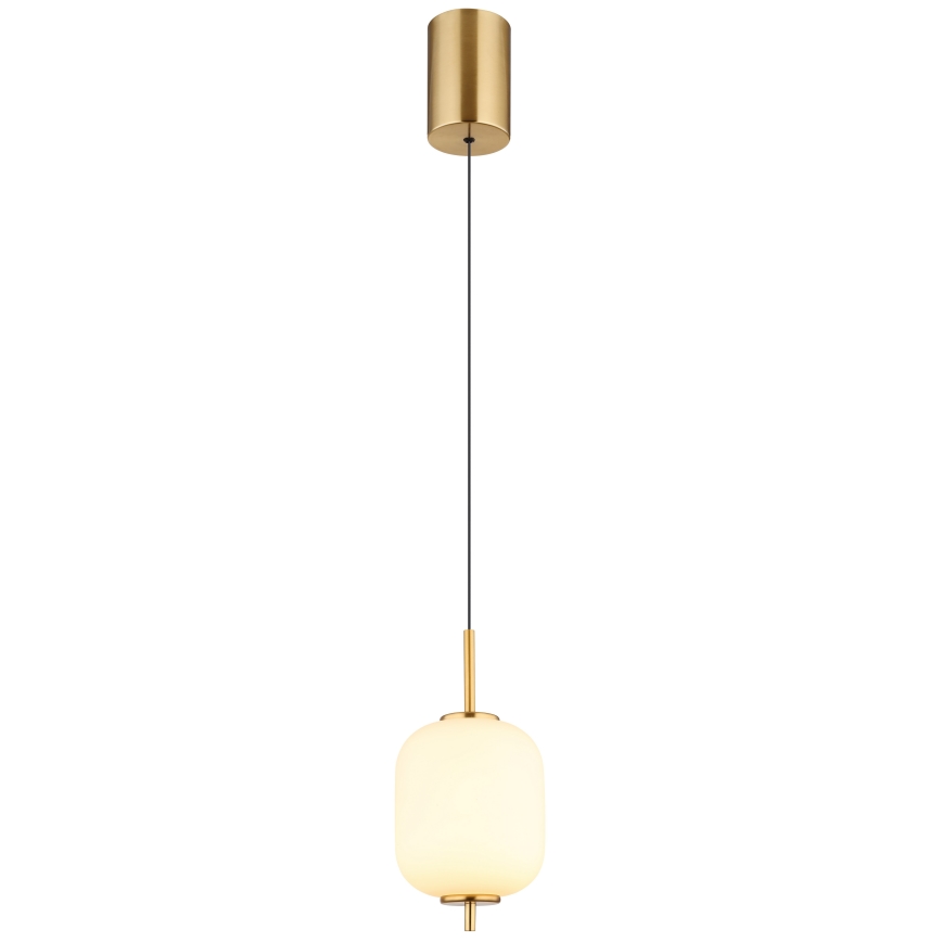 Globo - LED Lustr na lanku LED/7W/230V