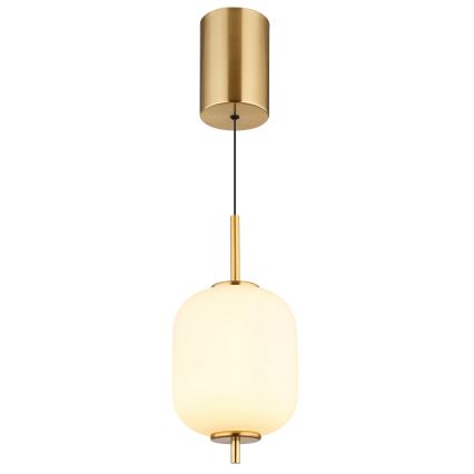 Globo - LED Lustr na lanku LED/7W/230V