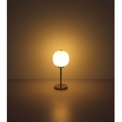 Globo - Stolní lampa 1xE14/40W/230V matný chrom