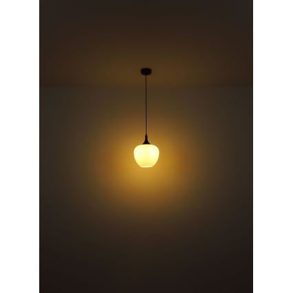 Globo - Lustr na lanku 1xE27/60W/230V pr. 29 cm bílá/hnědá