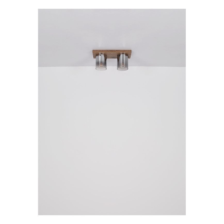 Globo - Stropní svítidlo 2xE27/40W/230V 16x41 cm