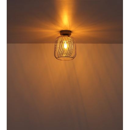 Globo - Stropní svítidlo 1xE27/40W/230V pr. 18 cm