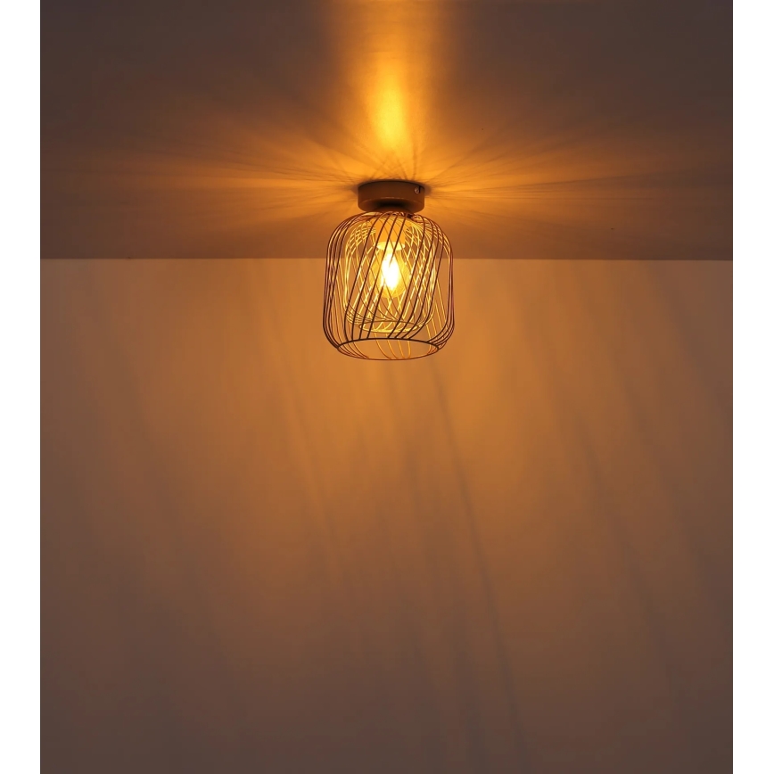 Globo - Stropní svítidlo 1xE27/40W/230V pr. 18 cm