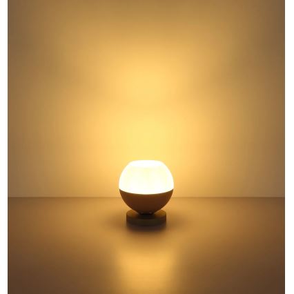 Globo - Stolní lampa 1xE27/60W/230V