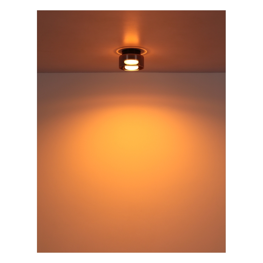 Globo - LED Stropní svítidlo 1xGX53/6W/230V pr. 13 cm kouřová/černá