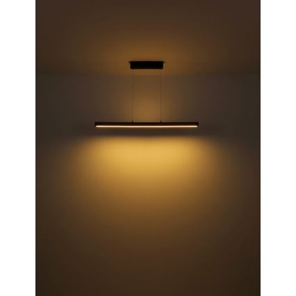 Globo - LED Stmívatelný dotykový lustr na lanku LED/24W/230V + LED/3W 3000K hnědá