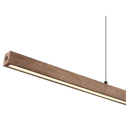 Globo - LED Stmívatelný dotykový lustr na lanku LED/24W/230V + LED/3W 3000K hnědá