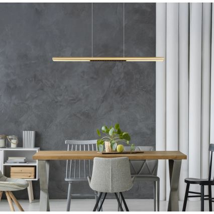 Globo - LED Lustr na lanku LED/24W/230V 3000K