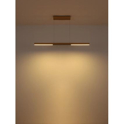 Globo - LED Lustr na lanku LED/24W/230V 3000K