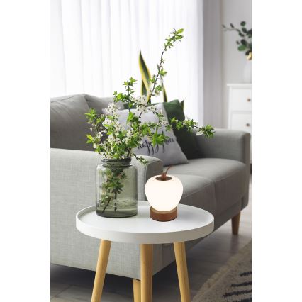 Globo - LED Stmívatelná dotyková stolní lampa LED/2W/3,7V 2700K/4000K/6500K 1200 mAh USB hnědá