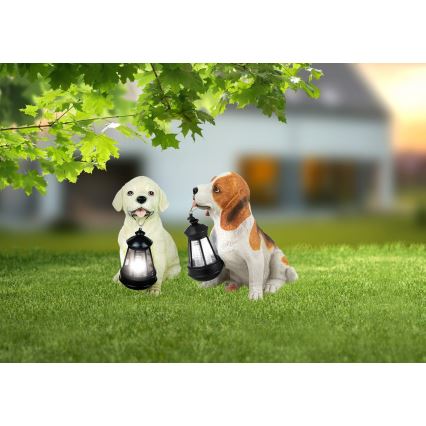 Globo - LED Solární svítidlo LED/0,06W/3V pes IP44 600 mAh