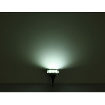 Globo - SADA 2x LED Solární svítidlo LED/0,8W/1,2V IP44 300 mAh